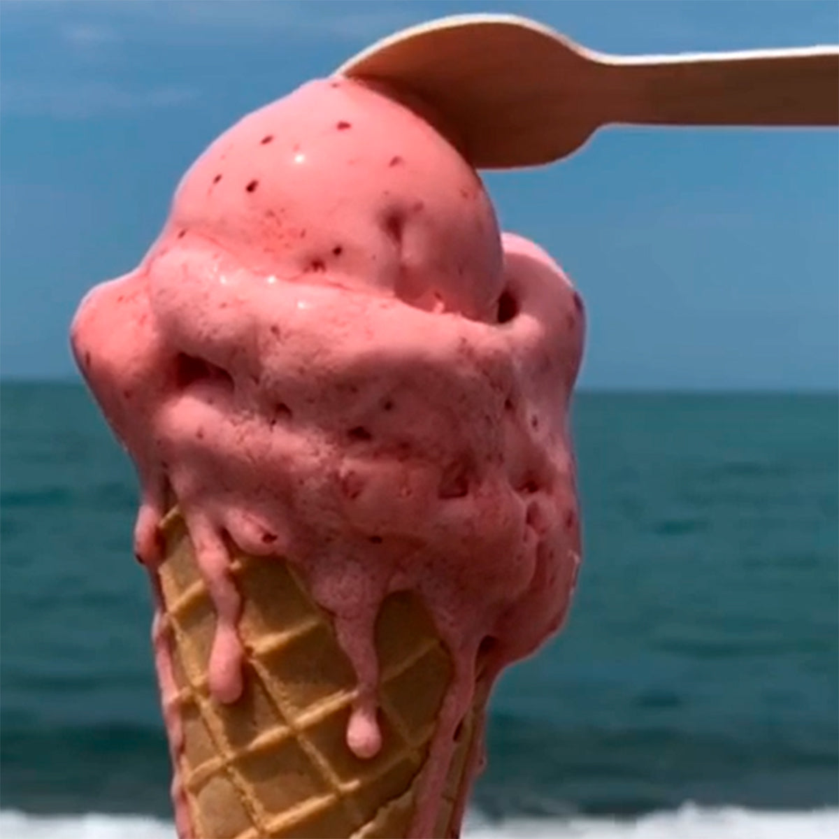 Eco-Friendly Is the New Black?