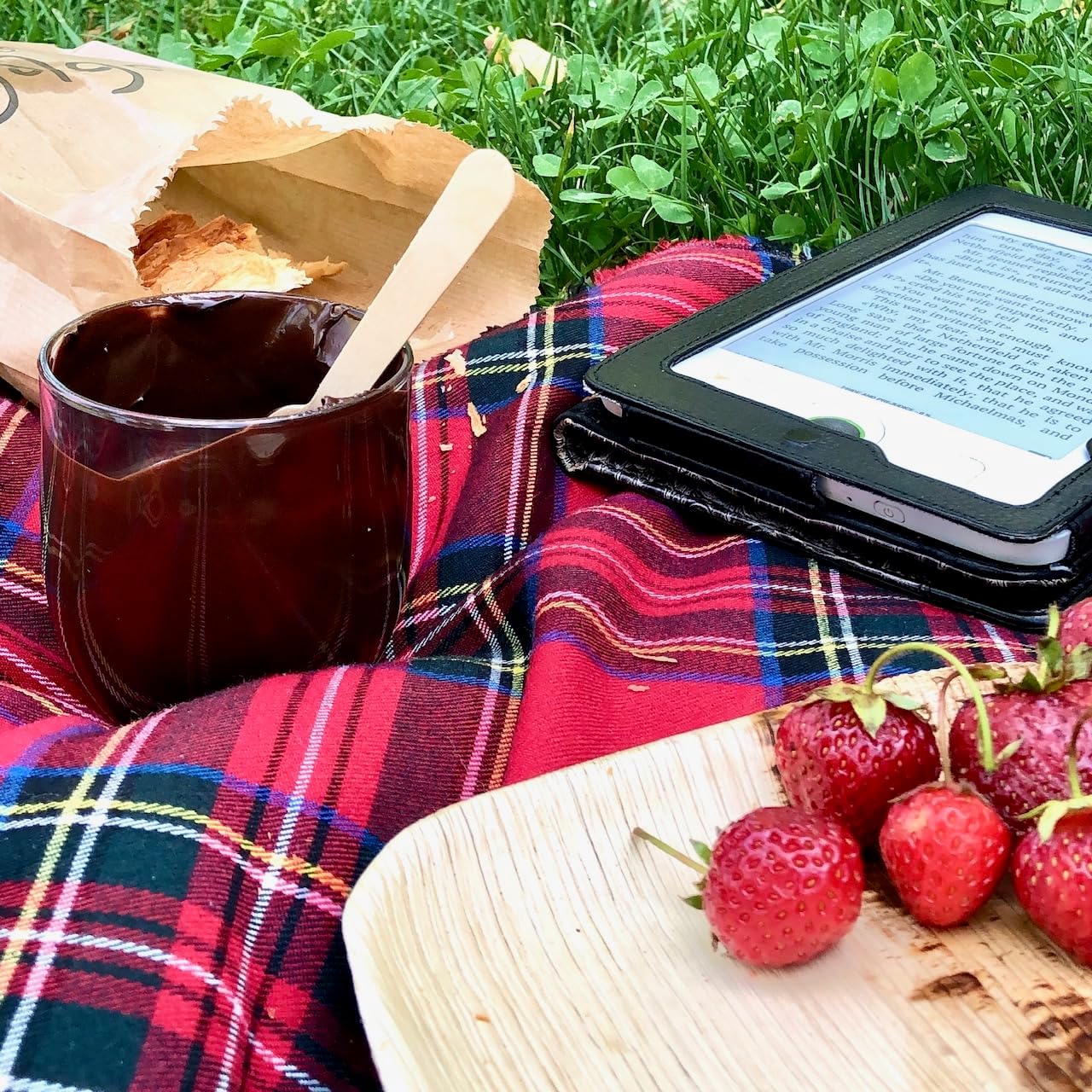 What Food to Bring on a Picnic?