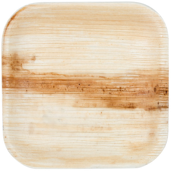 Eco-gecko 200 Disposable 4" Square Palm Leaf Plates