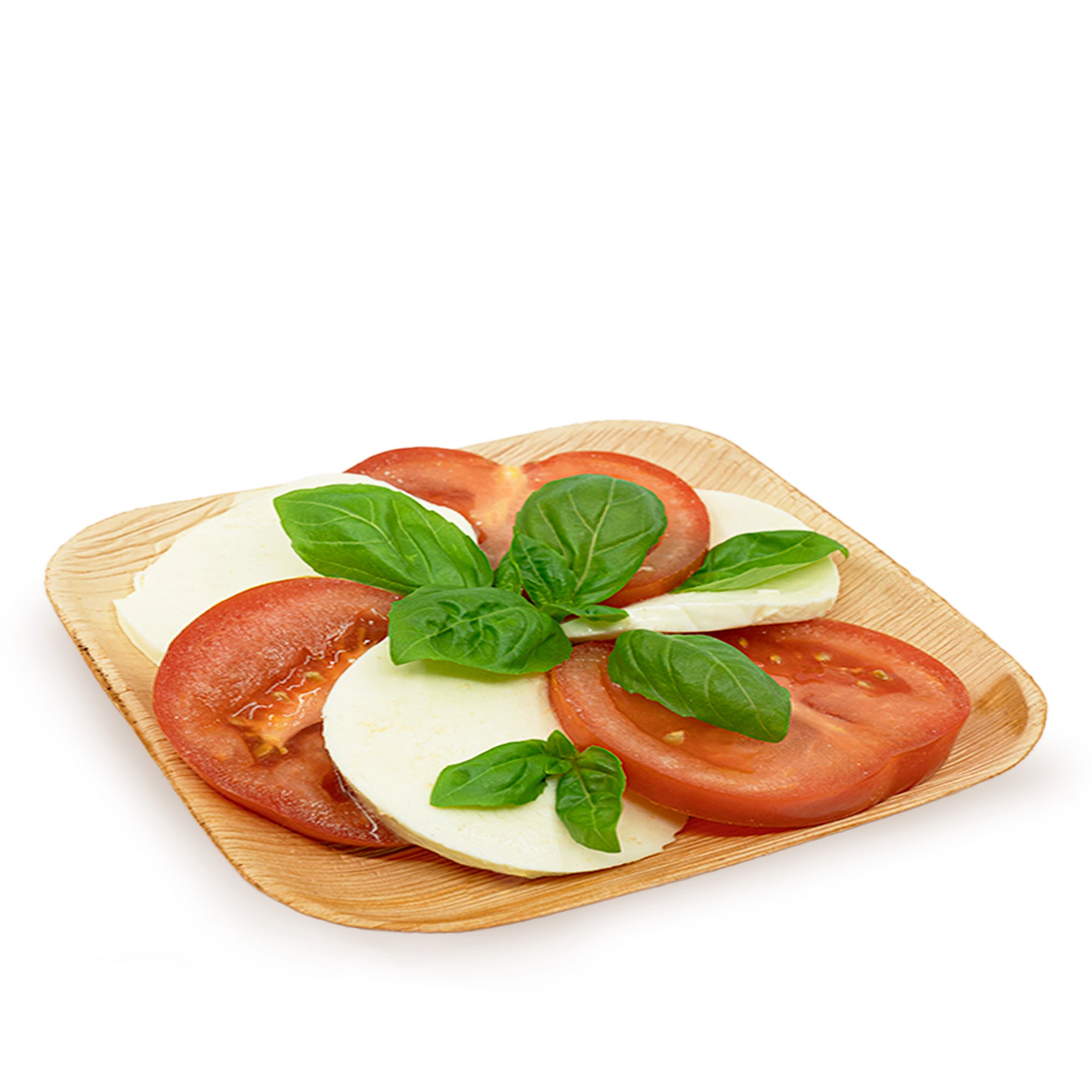 Eco-gecko 100 Disposable 6" Square Palm Leaf Plates