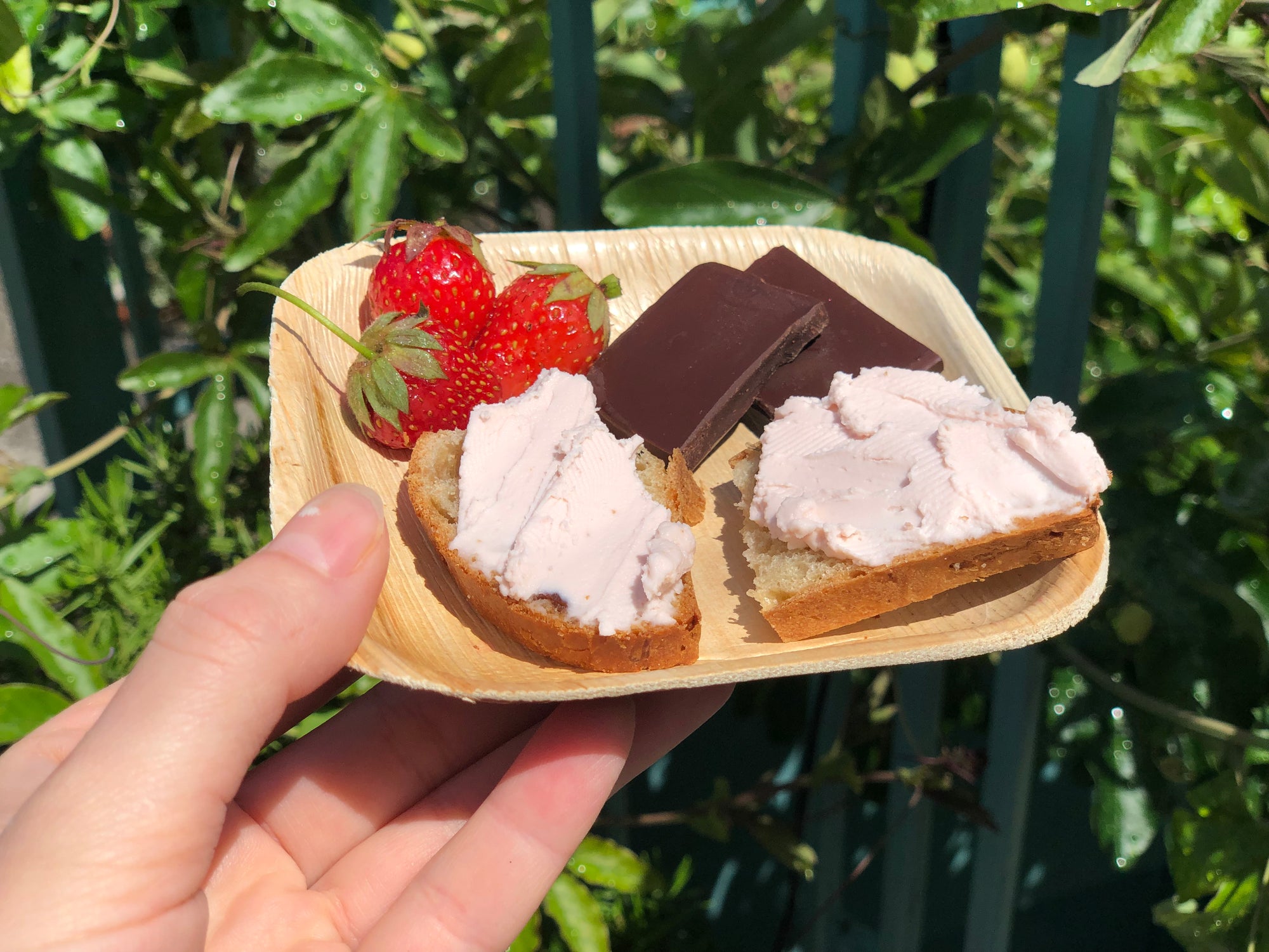 Eco-gecko 200 Disposable 4" Square Palm Leaf Plates