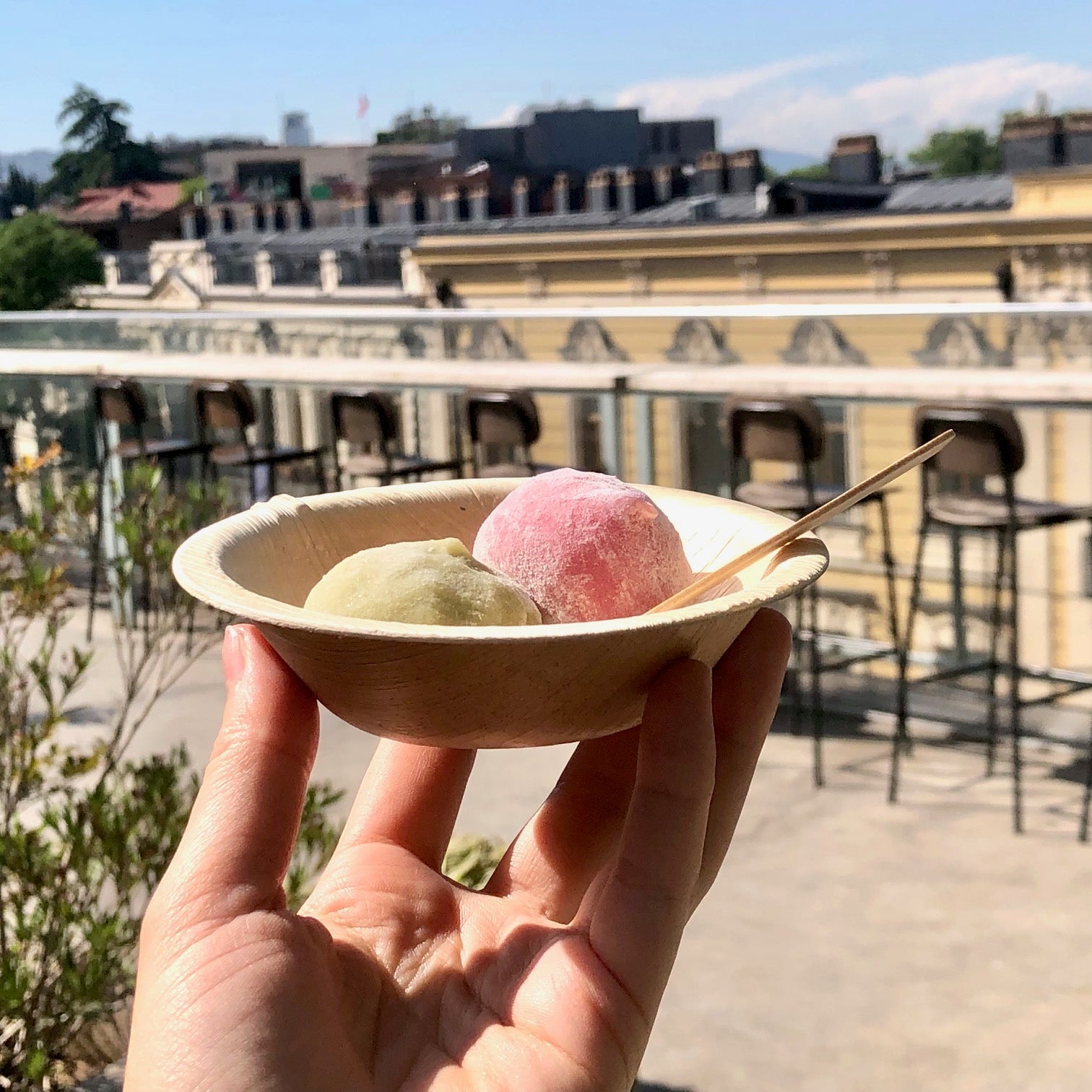 Eco-gecko 200 Disposable 4" Round Palm Leaf Bowls