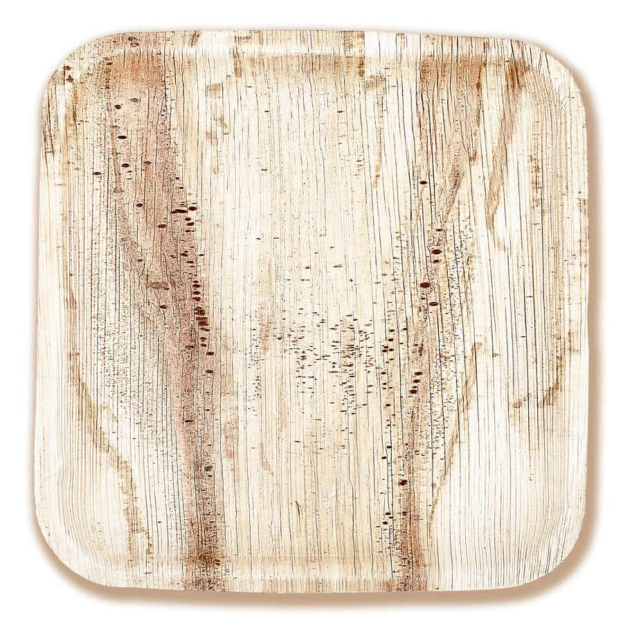 Eco-gecko Bulk 100-Pack 10" Palm Leaf Plates – Disposable & Compostable